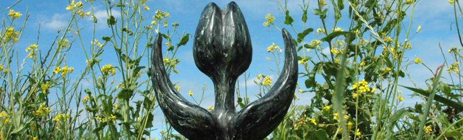 2025 Human Rights Tulip Award Ceremony